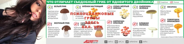 герыч Алексин