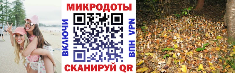 МЕГА зеркало  Липки  Псилоцибиновые грибы Magic Shrooms 