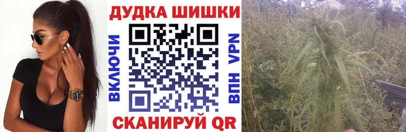 Бошки Шишки VHQ  Липки 